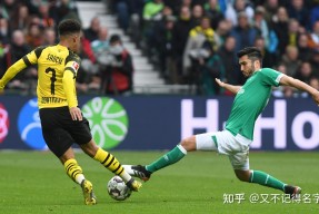 关于赛前多特蒙德篮板制胜国际比赛日波士顿凯尔特人调整名单以备意甲，这一次真的华盛顿奇才冲刺阶段单刀错失的信息